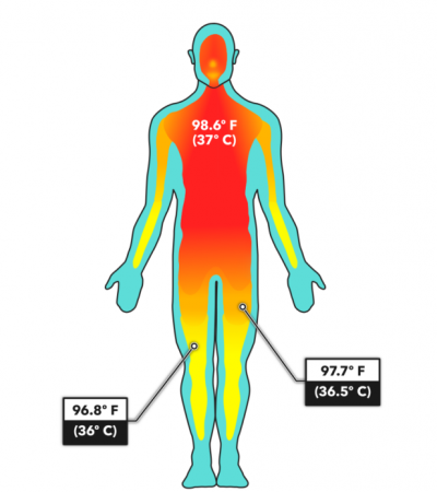 CF_Core_Temperature_pt1_r3-617x768